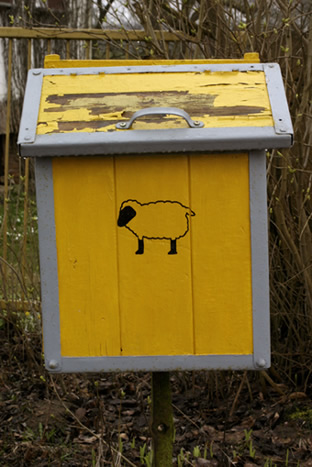 briefkasten mit schaf