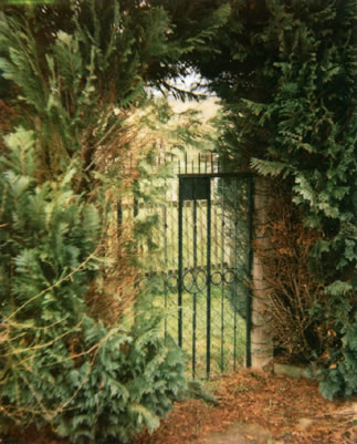 garten - remda 2008