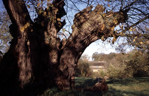 klotzow - herbst 2000