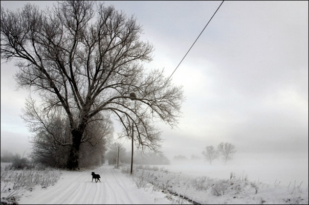 schnee - herzberg 2005