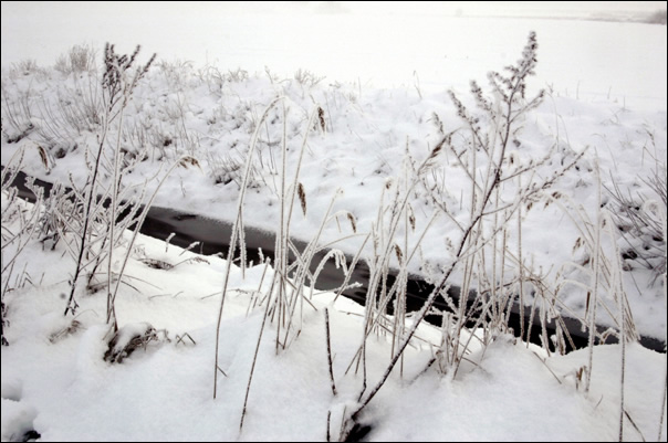 schnee - herzberg 2005