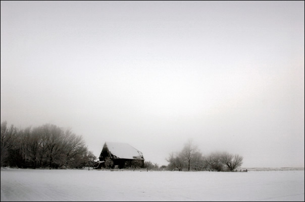 schnee - herzberg 2005