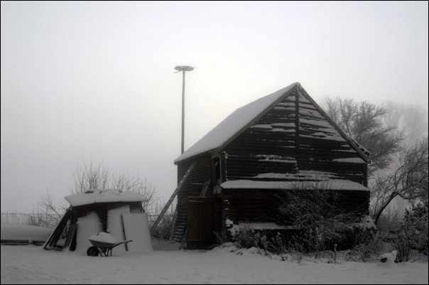 schnee - herzberg 2005