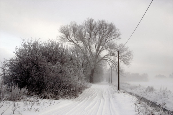 schnee - herzberg 2005